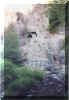nt40.jpg (72258 bytes)